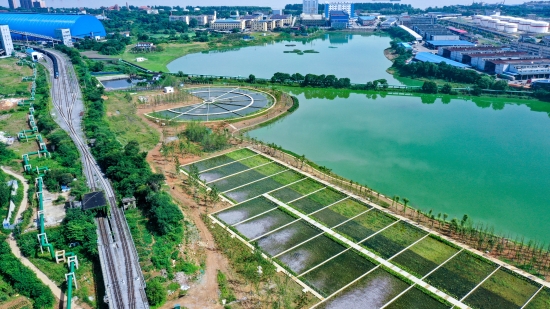 江西九江市琵琶湖黑臭水體治理項目